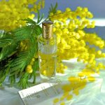 عطر ادکلن الیکسیر د میموسا آی دی پرفیومز - Elixir de Mimosa ID Parfums - بررسی، قیمت و خرید