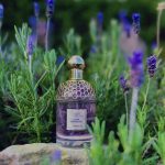 عطر ادکلن آکوا آلگوریا فلورا سلویاجیا گرلن - Aqua Allegoria Flora Salvaggia Guerlain - بررسی، قیمت و خرید