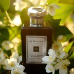 عطر ادکلن یاسمن سامباک و ماریگولد جو مالون لاندن - Jasmine Sambac & Marigold Jo Malone London - بررسی، قیمت و خرید