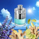 عطر ادکلن وانتد تونیک آزارو - Wanted Tonic Azzaro - بررسی، قیمت و خرید
