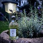 عطر ادکلن نرولیا وتیور هاروست گرلن - Nerolia Vetiver Harvest Guerlain - بررسی، قیمت و خرید