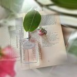 عطر ادکلن اینفیوژن د رز پِرادا - Infusion de Rose Prada - بررسی، قیمت و خرید