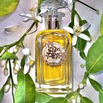 عطر ادکلن ارانژه آن فلور هوبیگان - Orangers en Fleurs Houbigant - بررسی، قیمت و خرید