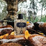 عطر ادکلن نو اسلیپ کورتِرنو - No Sleep Coreterno - بررسی، قیمت و خرید