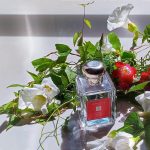 عطر ادکلن رد روزز کلون جو مالون لندن - Red Roses Cologne (2023) Jo Malone London - بررسی، قیمت و خرید