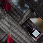 عطر ادکلن د لاورز تیل فرانچسکا بیانکی - The Lover's Tale Francesca Bianchi - بررسی، قیمت و خرید