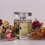 عطر ادکلن ونیتاس ورساچه - Vanitas Versace - بررسی، قیمت و خرید