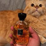 عطر ادکلن لون فِلین اتلیه دز اورز - Lune Feline Atelier des Ors - بررسی، قیمت و خرید