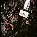 عطر ادکلن نیمیر نیمِر پرفیومز - Nimere' by Nimere' XVI Nimere Parfums - بررسی، قیمت و خرید