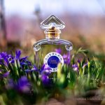 عطر ادکلن آپره لونده او دو تویلت گرلن - Après L'Ondée Eau de Toilette Guerlain - بررسی، قیمت و خرید
