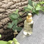 عطر ادکلن اِنچَنتِد وودز پسفیکا - Enchanted Woods Pacifica - بررسی، قیمت و خرید