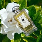 عطر ادکلن وینتیج گاردنیا جو مالون لندن - Vintage Gardenia Jo Malone London - بررسی، قیمت و خرید