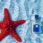 عطر ادکلن ورجین آیلند واتر کرید - Virgin Island Water Creed - بررسی، قیمت و خرید