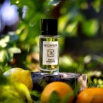 عطر ادکلن آکوا مینیمز لو کوونت مایون د پرفیوم - Aqua Minimes Le Couvent Maison de Parfum - بررسی، قیمت و خرید