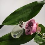 عطر ادکلن مون امی لا روز له پارفوم دو روزین - Mon Amie La Rose Les Parfums de Rosine - بررسی، قیمت و خرید