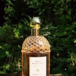 عطر ادکلن آکوا آلگوریا اورنج سولیا گرلن - Aqua Allegoria Orange Soleia Guerlain - بررسی، قیمت و خرید