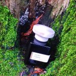 عطر ادکلن سدر فیگالیا اتلیه متری - Cèdre Figalia Atelier Materi - بررسی، قیمت و خرید