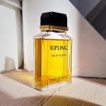 عطر ادکلن کیپلینگ وایل - Kipling Weil - بررسی، قیمت و خرید
