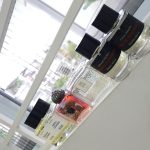 عطر ادکلن نرولی اورنجر مَتیِر پِرِمیِر - Neroli Oranger Matiere Premiere - بررسی، قیمت و خرید