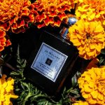 عطر ادکلن یاسمن سامباک و ماریگولد جو مالون لاندن - Jasmine Sambac & Marigold Jo Malone London - بررسی، قیمت و خرید