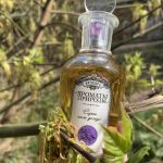 عطر ادکلن سیریِن پُسله داجیا بروکارد - Сирень после дождя - Lilac After The Rain Brocard - بررسی، قیمت و خرید