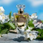 عطر ادکلن وانس اپان اِ تایم ۱۰۰۱ جَزمین بروکارد - Once Upon A Time 1001 Jasmine Brocard - بررسی، قیمت و خرید