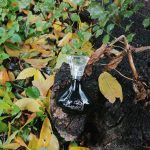 عطر ادکلن آوت‌اسپوکن بای فرگی اِی‌وون - Outspoken by Fergie Avon - بررسی، قیمت و خرید