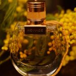 عطر ادکلن نوماد ناتورل او دو پارفوم کلوئه - Nomade Naturelle Eau de Parfum Chloé - بررسی، قیمت و خرید