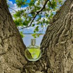 عطر ادکلن چنس او فرش شانل - Chance Eau Fraiche Chanel - بررسی، قیمت و خرید