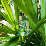 عطر ادکلن ایتِرنیتی فور مَن سامِر ۲۰۰۵ کلوین کلاین - Eternity For Men Summer 2005 Calvin Klein - بررسی، قیمت و خرید