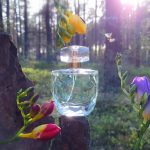 عطر ادکلن ایو تروث اِیوون - Eve Truth Avon - بررسی، قیمت و خرید