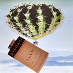 عطر ادکلن بولگاری من اکستریم بولگاری - Bvlgari Man Extreme Bvlgari - بررسی، قیمت و خرید