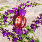 عطر ادکلن مامگنیفیکا بولگاری - Ma'magnifica Bvlgari - بررسی، قیمت و خرید