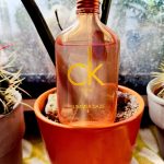 عطر ادکلن سی کی وان سامر دیز کلوین کلاین - Ck One Summer Daze Calvin Klein - بررسی، قیمت و خرید