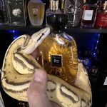 عطر ادکلن بوی سیگار آتلیه دِ اورس - Bois Sikar Atelier des Ors - بررسی، قیمت و خرید