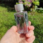عطر ادکلن فرست اینستینکت ابرکرامبی اند فیچ - First Instinct Abercrombie & Fitch - بررسی، قیمت و خرید