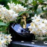 عطر ادکلن ژَسمین نوآر بولگاری - Jasmin Noir Bvlgari - بررسی، قیمت و خرید