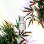 عطر ادکلن مری جین بورن تو استند اوت - Mary Jane BORNTOSTANDOUT® - بررسی، قیمت و خرید
