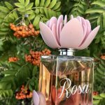 عطر ادکلن بلومارین رزا بلومارین - Blumarine Rosa Blumarine - بررسی، قیمت و خرید