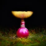 عطر ادکلن فانتزی بریتنی اسپیرز - Fantasy Britney Spears - بررسی، قیمت و خرید