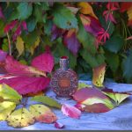 عطر ادکلن د کینگ پرینسس بروکارد - The King Princess (Царь Девица) Brocard - بررسی، قیمت و خرید