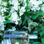 عطر ادکلن لیلا لو بای رزی جین - Leila Lou By / Rosie Jane - بررسی، قیمت و خرید