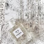 عطر ادکلن شنل نامبر فایو لو شَنِل - Chanel No 5 L'Eau Chanel - بررسی، قیمت و خرید