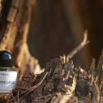 عطر ادکلن عود ایمورتل بایردو - Oud Immortel Byredo - بررسی، قیمت و خرید