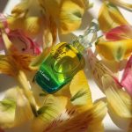 عطر ادکلن سلافت کریستین لاکروآ - C'est La Fete Christian Lacroix - بررسی، قیمت و خرید