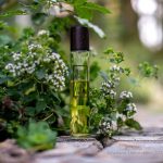 عطر ادکلن اُ دو رژلیس کَرون - Eau de Reglisse (Liquorice) Caron - بررسی، قیمت و خرید