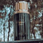 عطر ادکلن سیدر ملکی شوپارد - Cedar Malaki Chopard - بررسی، قیمت و خرید