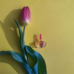 عطر ادکلن فلناد شریه پارفوم - Flanade Charrier Parfums - بررسی، قیمت و خرید