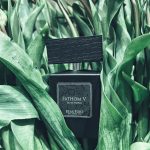 عطر ادکلن فتوم وی بوفورت لندن - Fathom V BeauFort London - بررسی، قیمت و خرید