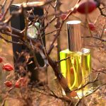 عطر ادکلن آلیا سی و هشت بی‌زی پارفومز - Alea 38 BZ Parfums - بررسی، قیمت و خرید